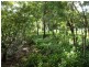 117 Kate Street, Macleay Island QLD 4184
