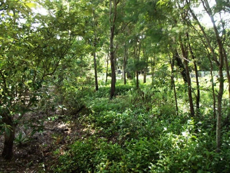 117 Kate Street, Macleay Island QLD 4184