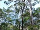 117-123 Beelong Street, Macleay Island QLD 4184