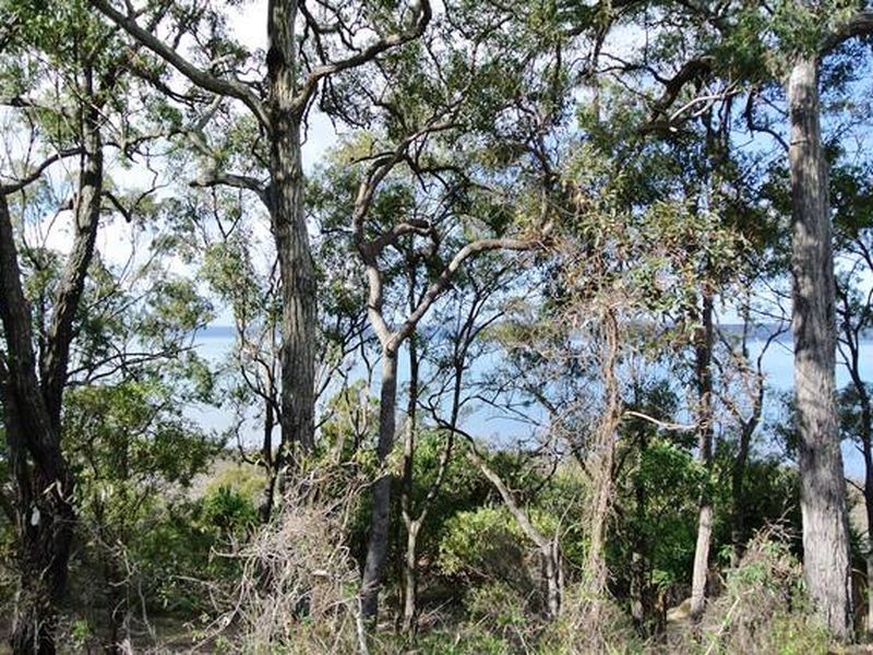 117-123 Beelong Street, Macleay Island QLD 4184