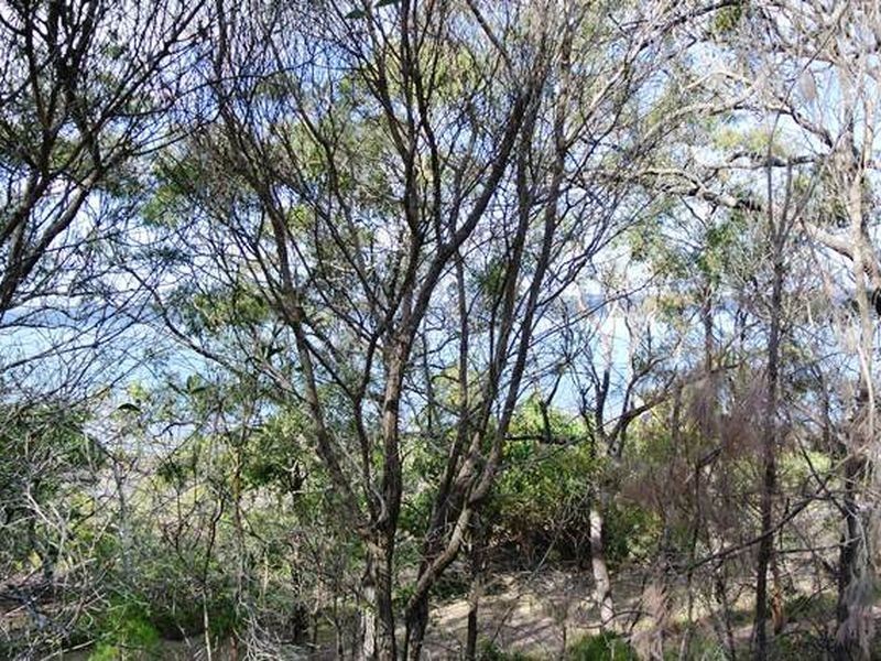 117-123 Beelong Street, Macleay Island QLD 4184