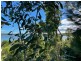 52 Timothy Street, Macleay Island QLD 4184