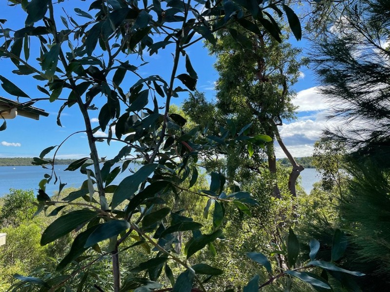 52 Timothy Street, Macleay Island QLD 4184