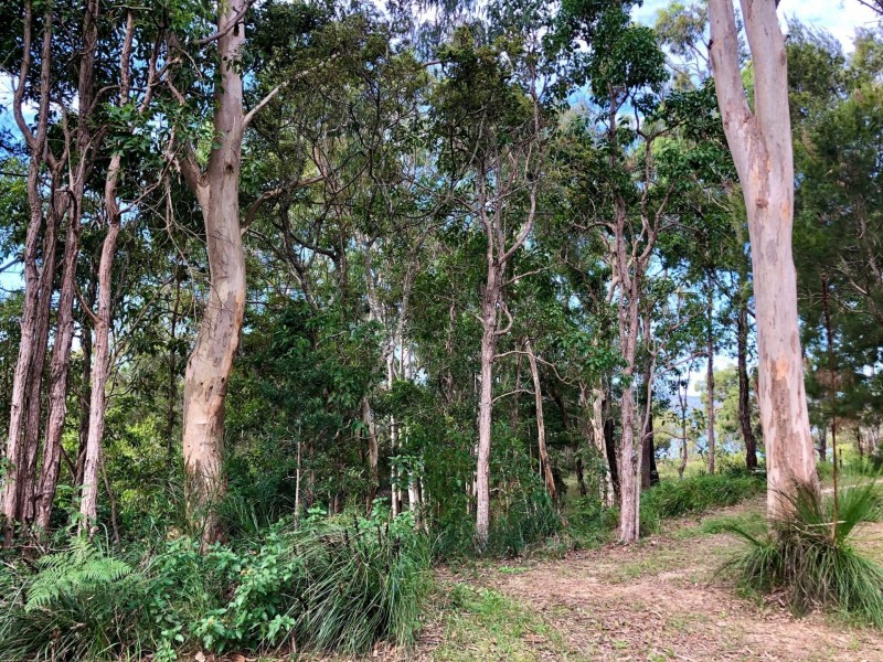 24 The Esplanade, Karragarra Island QLD 4184