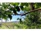 24 The Esplanade, Karragarra Island QLD 4184