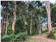 24 The Esplanade, Karragarra Island QLD 4184