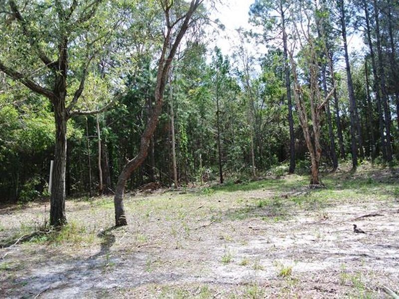 42 Alexander Street, Macleay Island QLD 4184