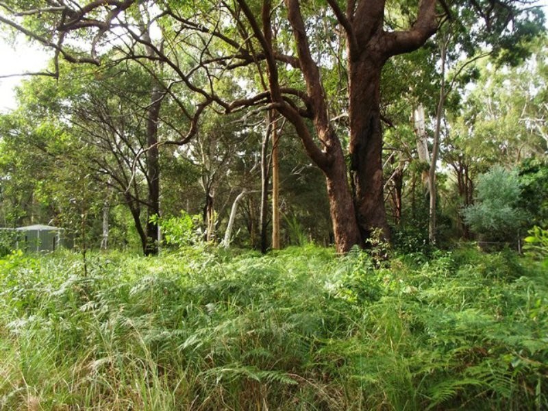 3 Noondoo Street, Macleay Island QLD 4184