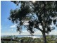 10 Hilda Crescent, Macleay Island QLD 4184