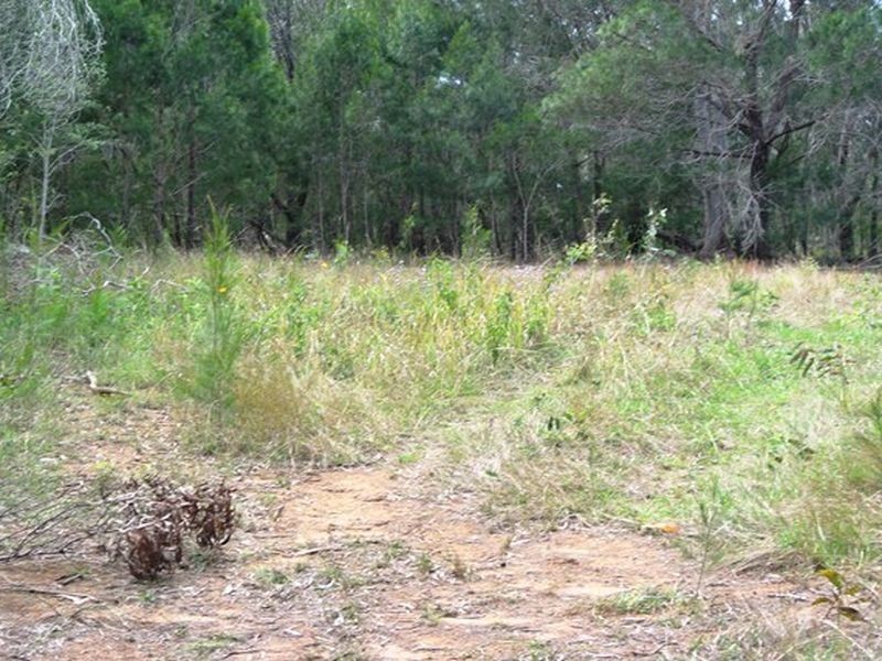 3 Rainbow Ave, Macleay Island QLD 4184