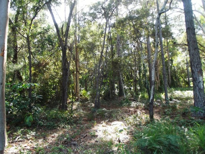 38 Alexander Street, Macleay Island QLD 4184