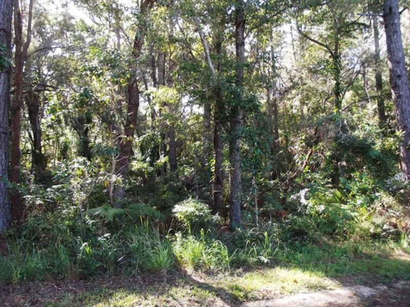 38 Alexander Street, Macleay Island QLD 4184