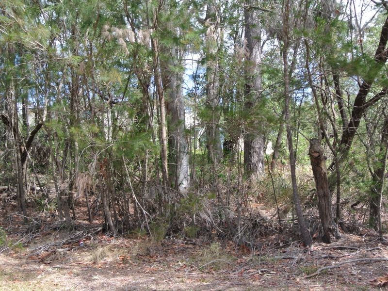 12 Oomool Street, Macleay Island QLD 4184