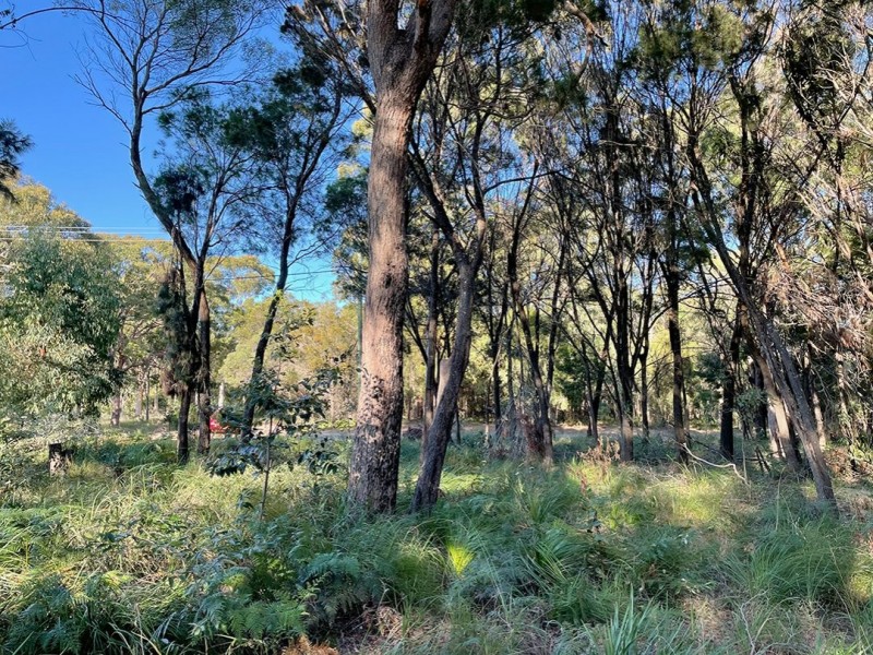 13 Wirralee Street, Macleay Island QLD 4184