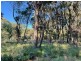 13 Wirralee Street, Macleay Island QLD 4184