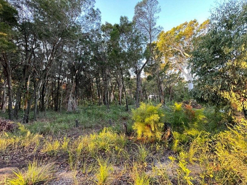 13 Wirralee Street, Macleay Island QLD 4184