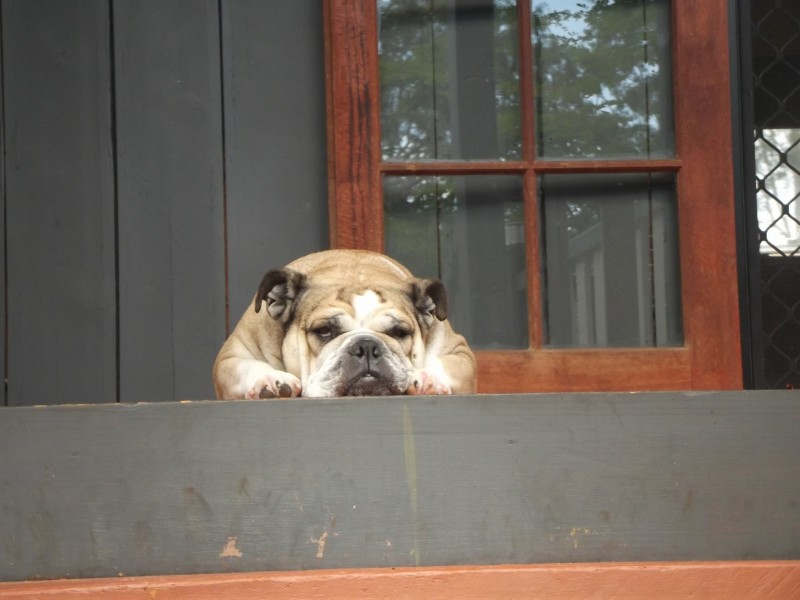 14 Frenchem Terrace, Macleay Island QLD 4184