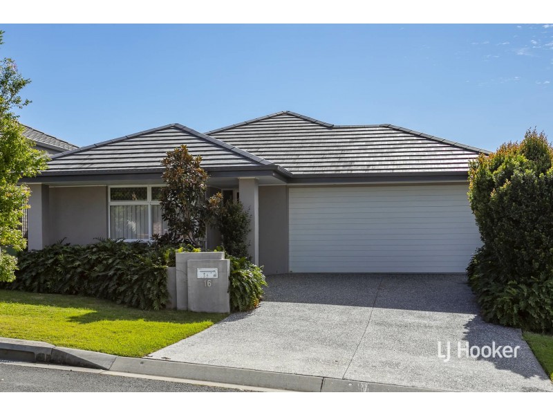 16 Davenport Street, Thornlands QLD 4164