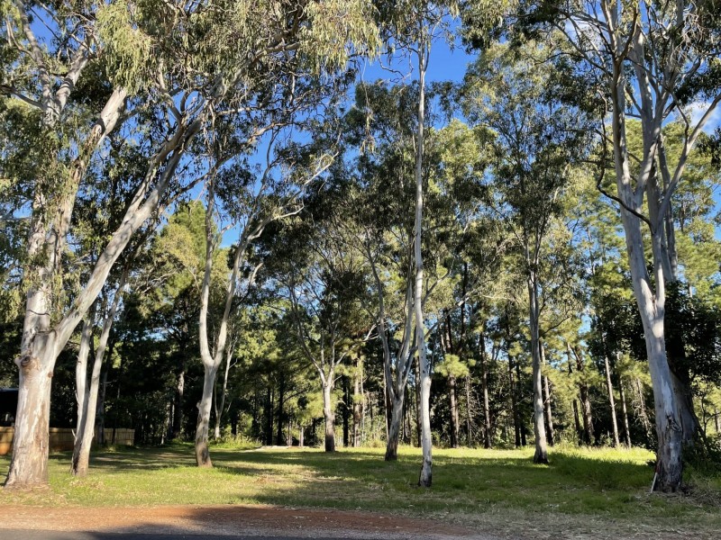 36 Cooee Crescent, Macleay Island QLD 4184