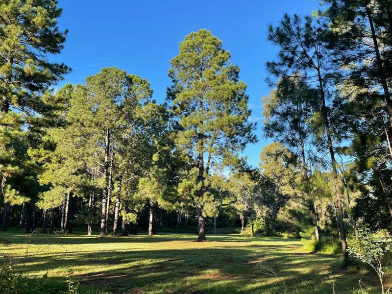 36 Cooee Crescent, Macleay Island QLD 4184