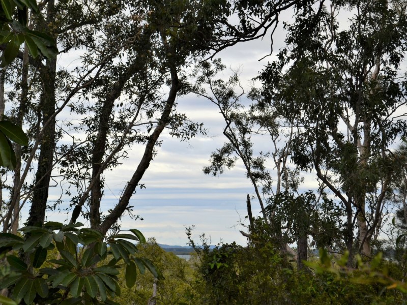 138 Treasure island Avenue, Karragarra Island QLD 4184