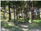 10 Piccaninny Street, Macleay Island QLD 4184