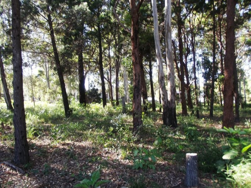10 Piccaninny Street, Macleay Island QLD 4184