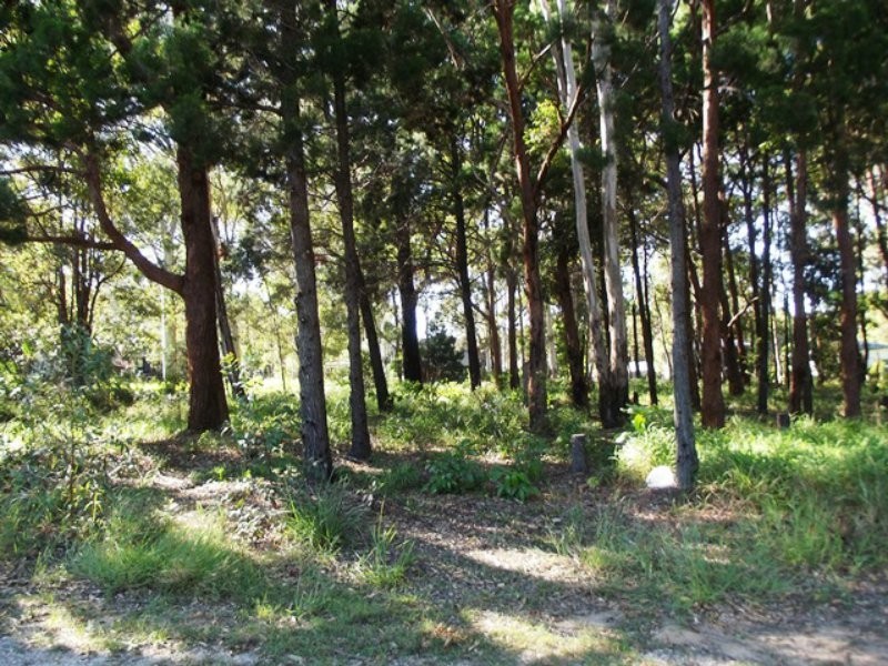 10 Piccaninny Street, Macleay Island QLD 4184