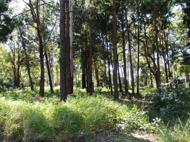 10 Piccaninny Street, Macleay Island QLD 4184