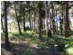 10 Piccaninny Street, Macleay Island QLD 4184