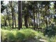 10 Piccaninny Street, Macleay Island QLD 4184