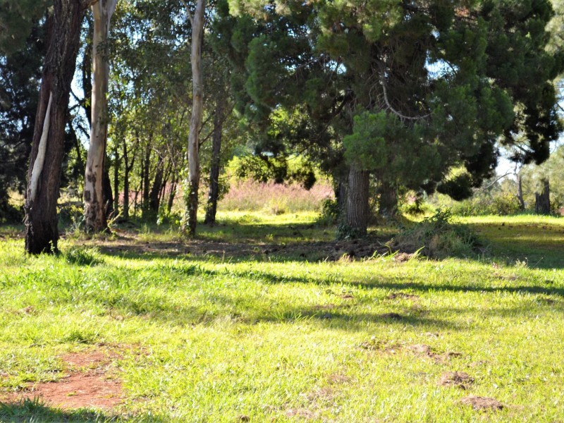 15 Cooee Crescent, Macleay Island QLD 4184