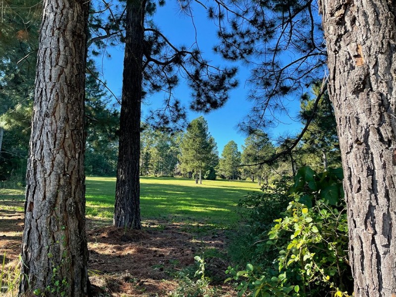 8 Jordan St, Macleay Island QLD 4184