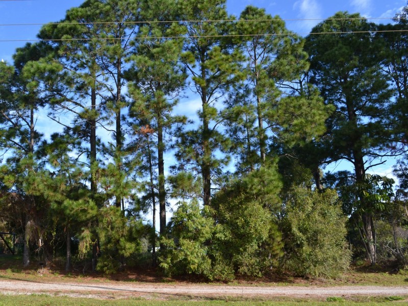 68 Hastings Terrace, Macleay Island QLD 4184