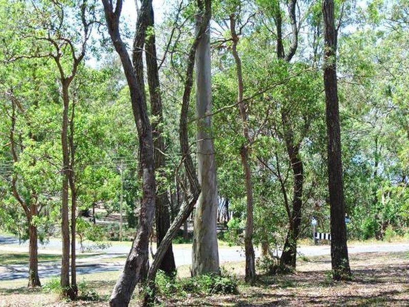 94 Beelong Street, Macleay Island QLD 4184