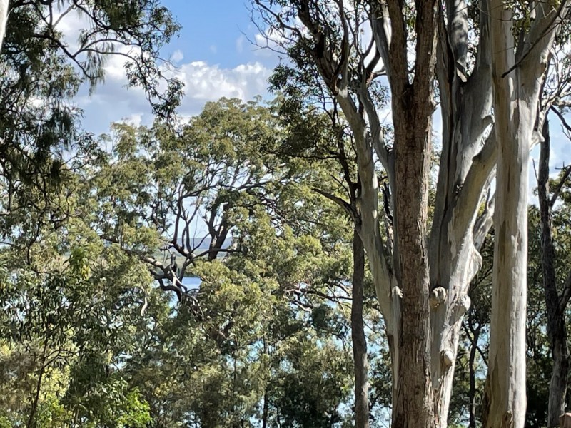 13 High Central Road, Macleay Island QLD 4184