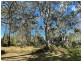 13 High Central Road, Macleay Island QLD 4184