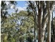13 High Central Road, Macleay Island QLD 4184