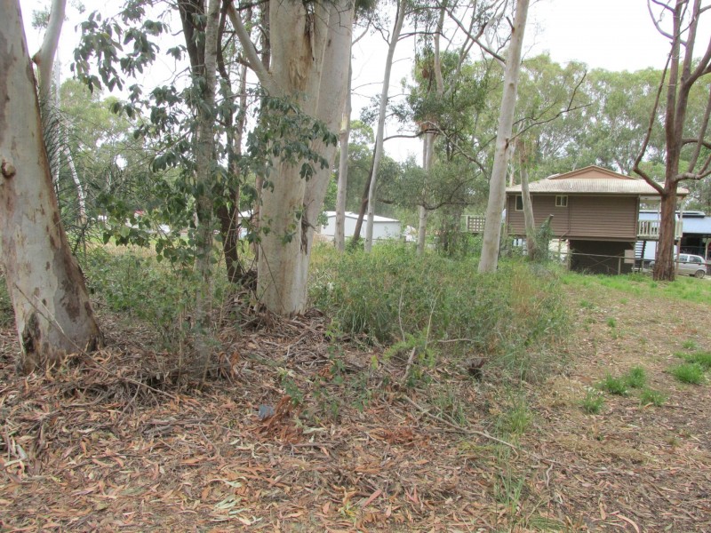 22 Parakeet Street, Macleay Island QLD 4184