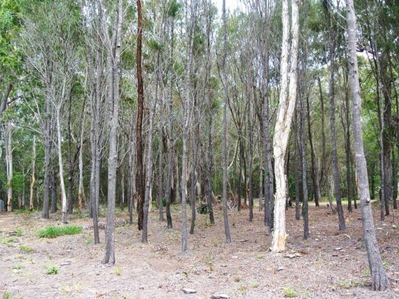 162 Kate St, Macleay Island QLD 4184