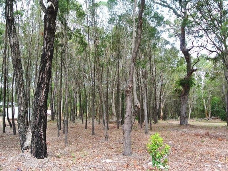 162 Kate St, Macleay Island QLD 4184