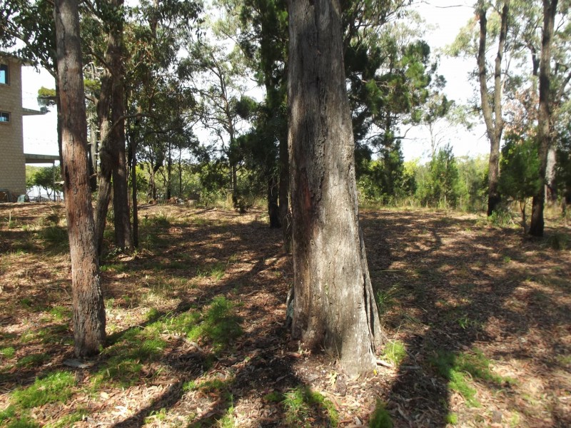 7 Blue Vis Street, Macleay Island QLD 4184