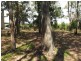 7 Blue Vis Street, Macleay Island QLD 4184