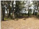 7 Blue Vis Street, Macleay Island QLD 4184