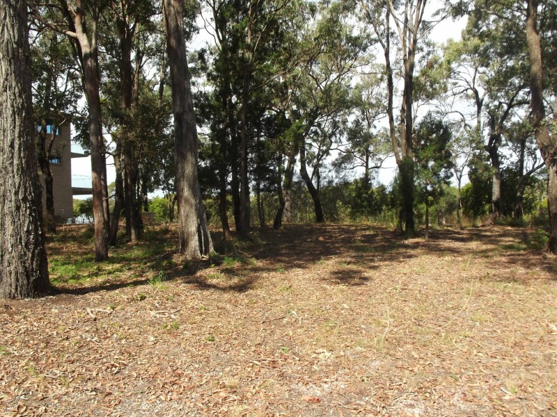 7 Blue Vis Street, Macleay Island QLD 4184