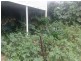 39 Western Road, Macleay Island QLD 4184