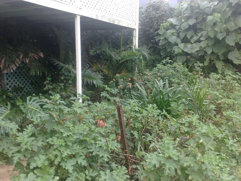 39 Western Road, Macleay Island QLD 4184