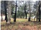 17 Barramundi Street, Macleay Island QLD 4184