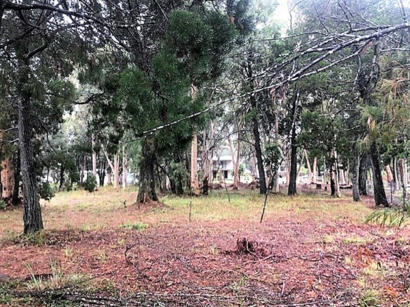 17 Barramundi Street, Macleay Island QLD 4184