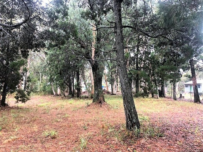 17 Barramundi Street, Macleay Island QLD 4184